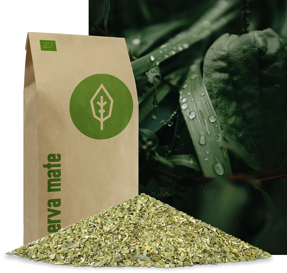 Erva Mate Tee von caámate