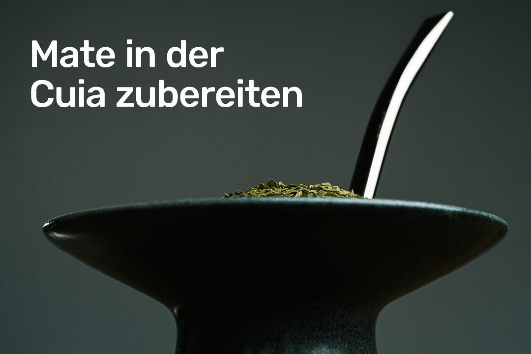 Instructions for preparing mate tea in the Cuia