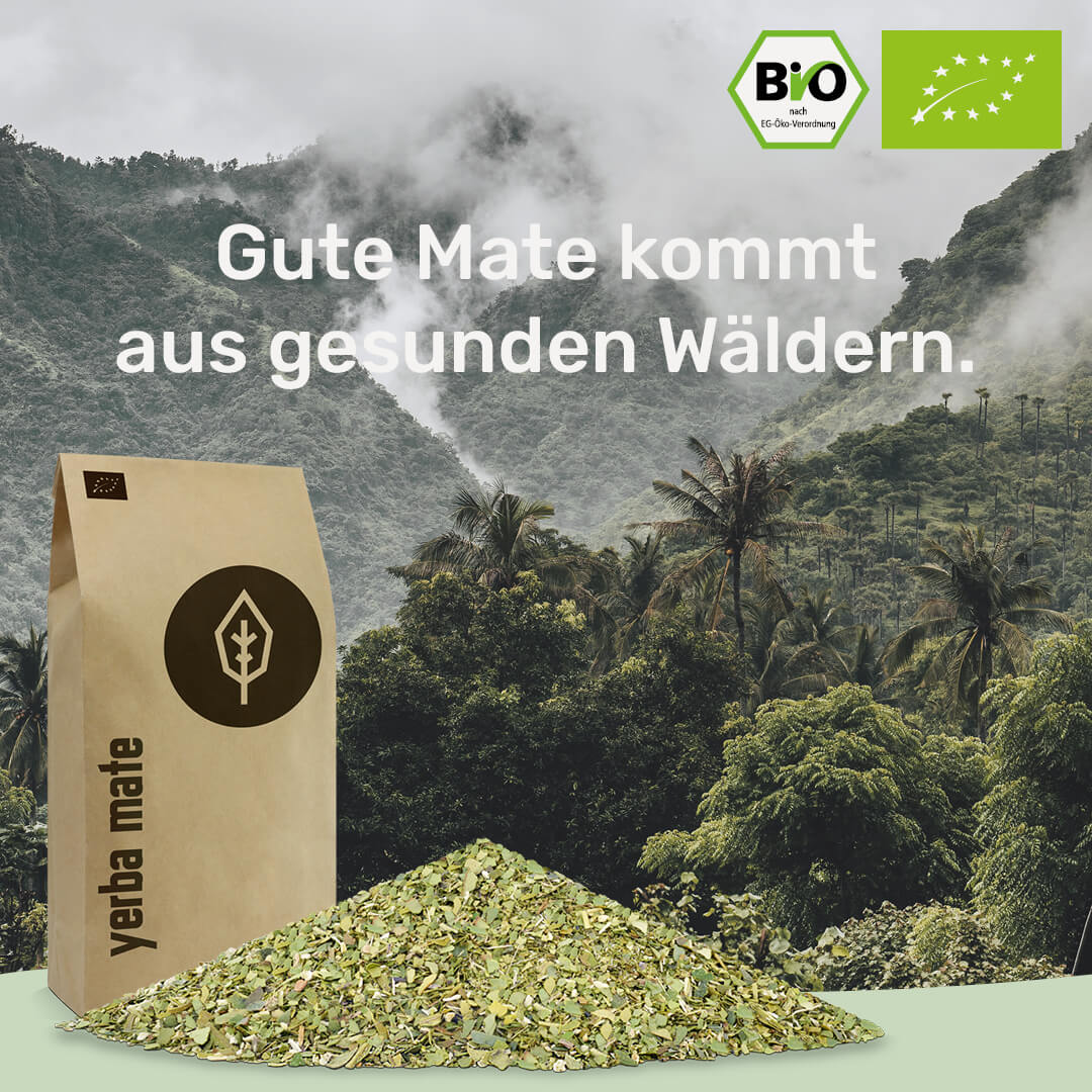gesunde Mate kommt aus gesunden Waeldern caamate yerba mate tee bio